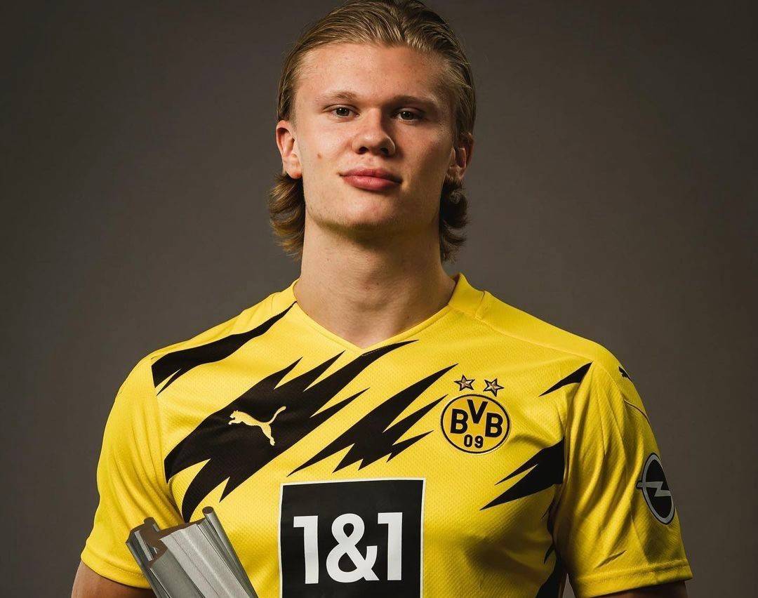 导致被活塞 导致被活塞